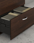 Bush Business Furniture Hybrid 2 Drawer Lateral File Cabinet with Shelves