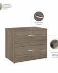 Bush Business Furniture Hybrid 2 Drawer Lateral File Cabinet with Shelves