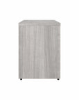 Bush Business Furniture Hybrid Low Storage Cabinet with Doors and Shelves