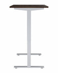 Move 40 Series by Bush Business Furniture 60W x 30D Electric Height Adjustable Standing Desk