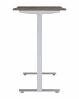 Move 40 Series by Bush Business Furniture 60W x 30D Electric Height Adjustable Standing Desk