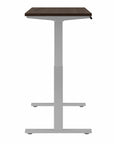 Move 60 Series by Bush Business Furniture 48W x 24D Electric Height Adjustable Standing Desk