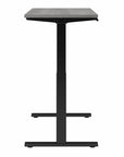 Move 60 Series by Bush Business Furniture 48W x 24D Electric Height Adjustable Standing Desk