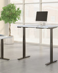 Move 60 Series by Bush Business Furniture 48W x 24D Electric Height Adjustable Standing Desk