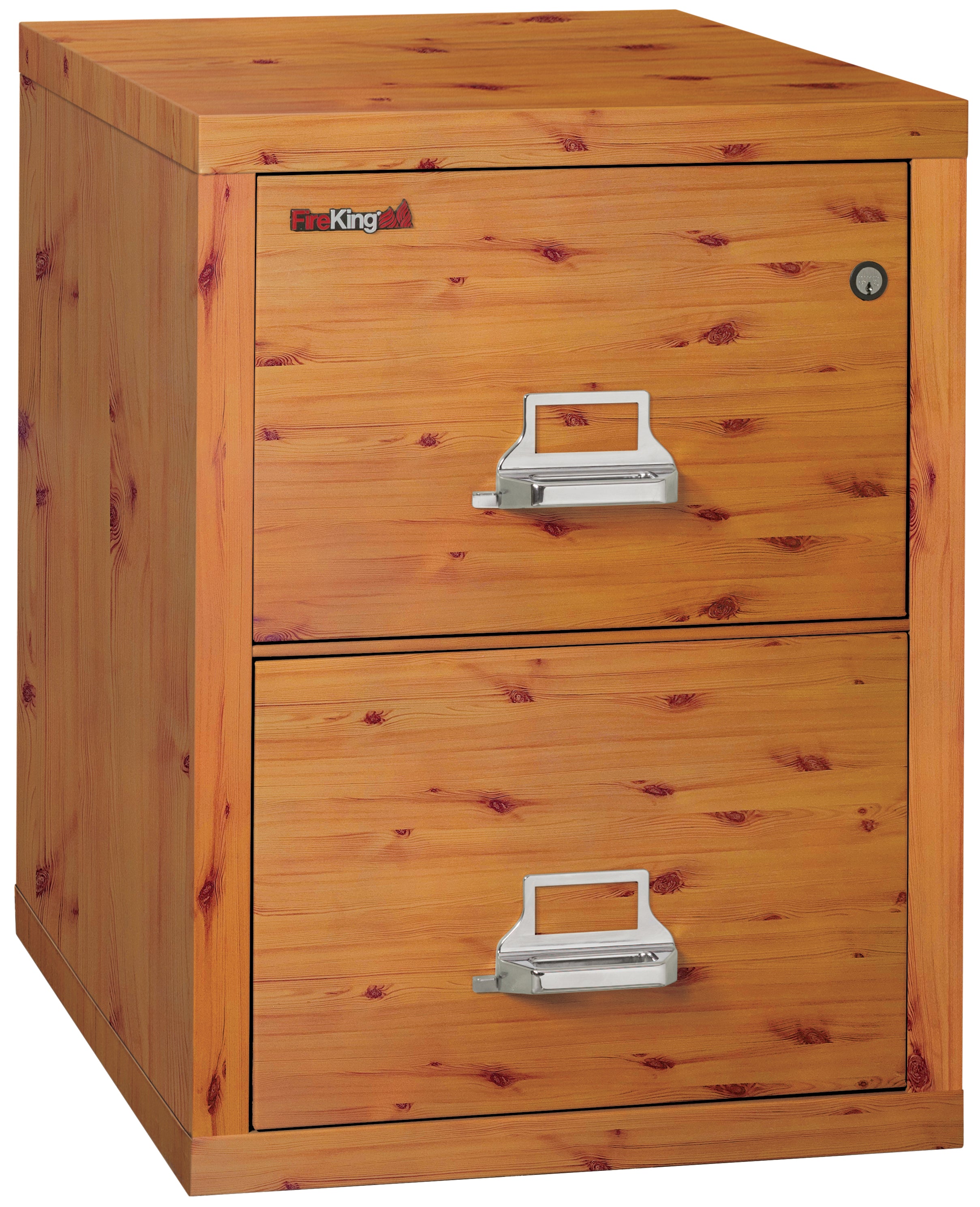 1 Hour Fire Resistant File Cabinet - 2 Drawer Letter 25" depth