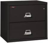 Fire Resistant File Cabinet - 2 Drawer Lateral 31" wide