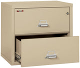 Fire Resistant File Cabinet - 2 Drawer Lateral 31" wide